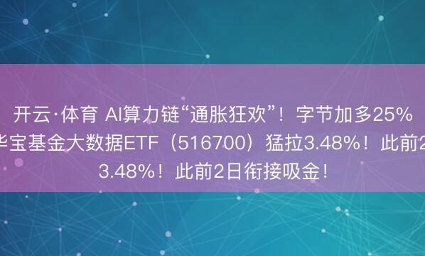 开云·体育 AI算力链“通胀狂欢”！字节加多25%本钱开支！华宝基金大数据ETF（516700）猛拉3.48%！此前2日衔接吸金！