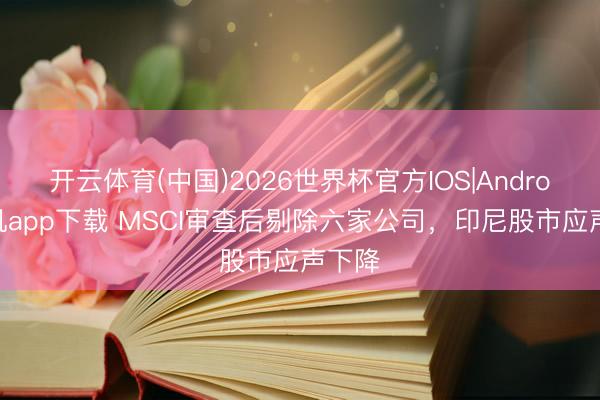 开云体育(中国)2026世界杯官方IOS|Android手机app下载 MSCI审查后剔除六家公司，印尼股市应声下降