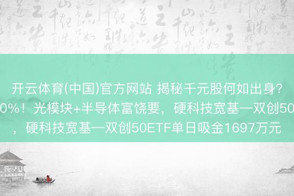 开云体育(中国)官方网站 揭秘千元股何如出身？中际旭创一年暴涨980%！光模块+半导体富饶要，硬科技宽基—双创50ETF单日吸金1697万元