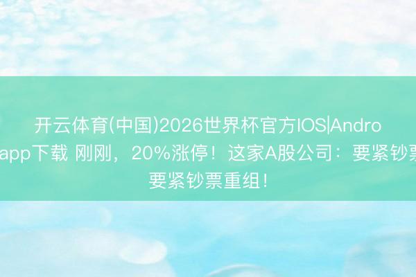 开云体育(中国)2026世界杯官方IOS|Android手机app下载 刚刚，20%涨停！这家A股公司：要紧钞票重组！