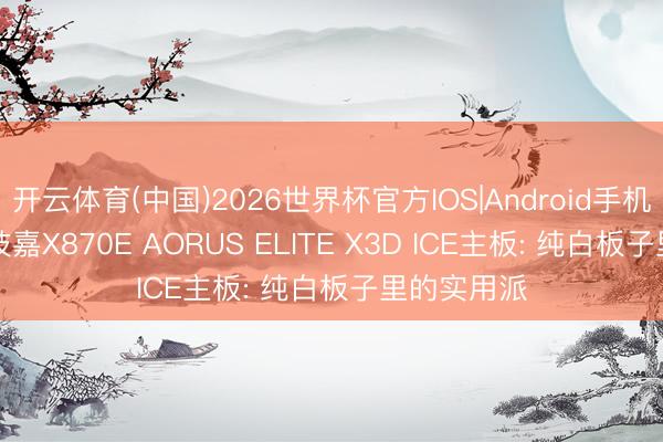 开云体育(中国)2026世界杯官方IOS|Android手机app下载 技嘉X870E AORUS ELITE X3D ICE主板: 纯白板子里的实用派