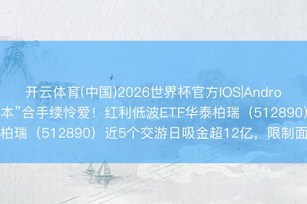 开云体育(中国)2026世界杯官方IOS|Android手机app下载 “耐性老本”合手续怜爱！红利低波ETF华泰柏瑞（512890）近5个交游日吸金超12亿，限制面对320亿