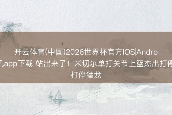 开云体育(中国)2026世界杯官方IOS|Android手机app下载 站出来了！米切尔单打关节上篮杰出打停猛龙